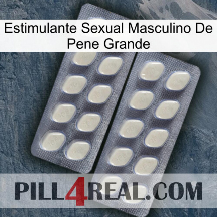 Big Penis Male Sexual Stimulant 07